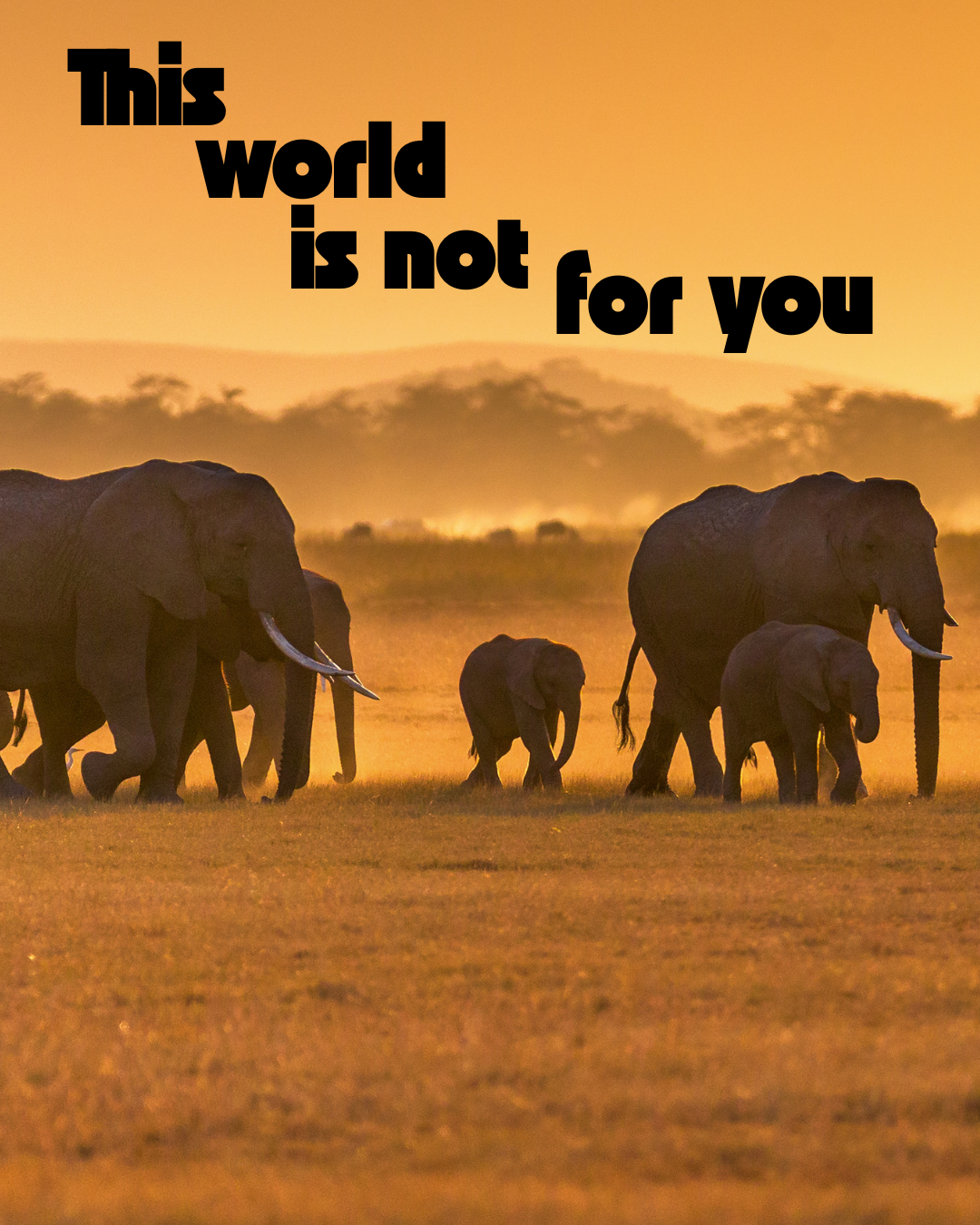 This world is not for you