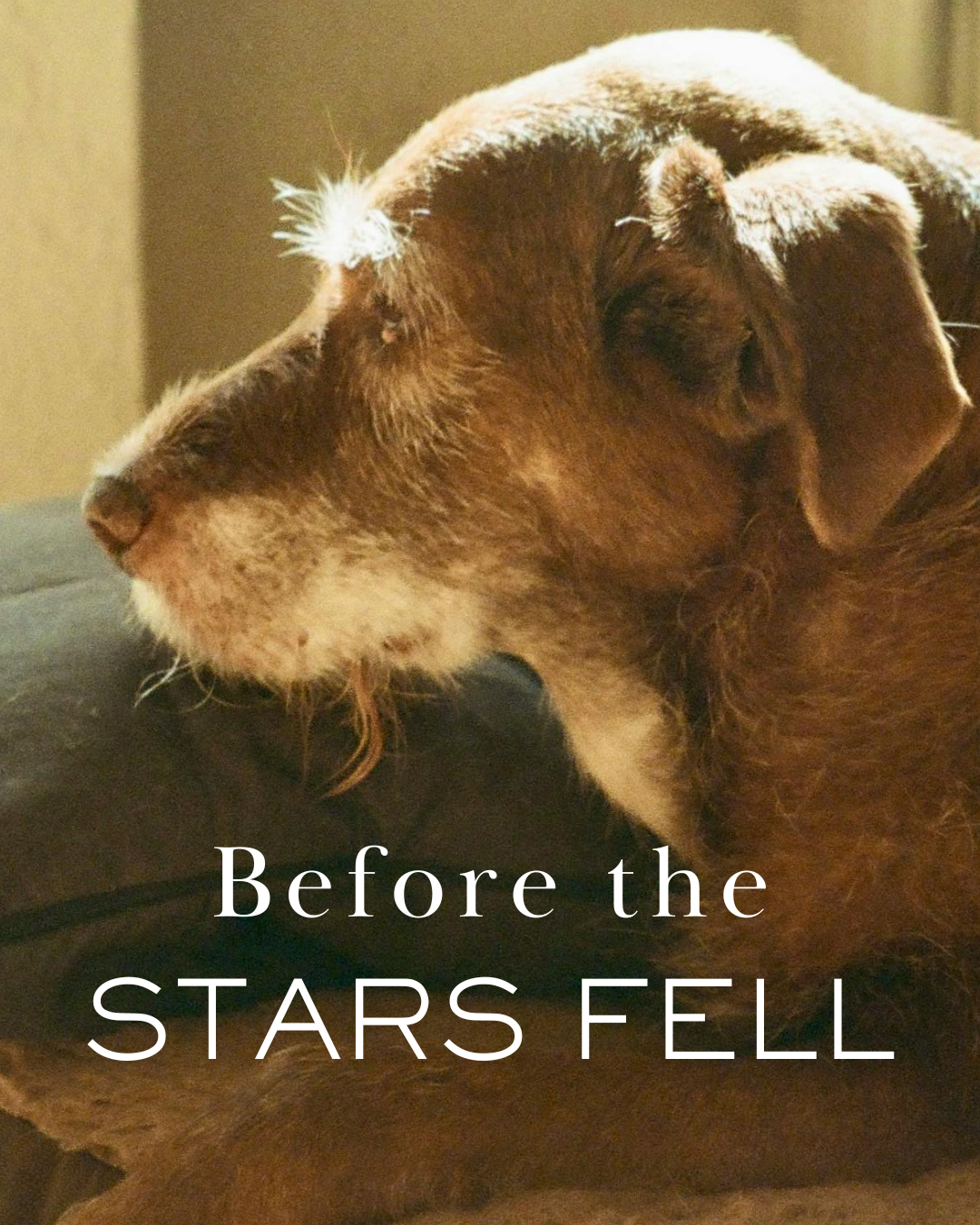 Before the Stars Fell